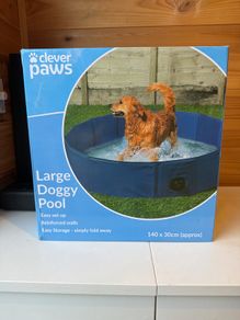 Dog Pool