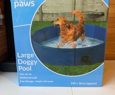 Dog Pool