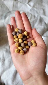 Small animal treats