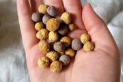 Small animal treats