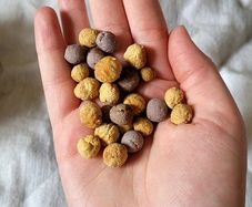 Small animal treats