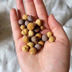 Small animal treats