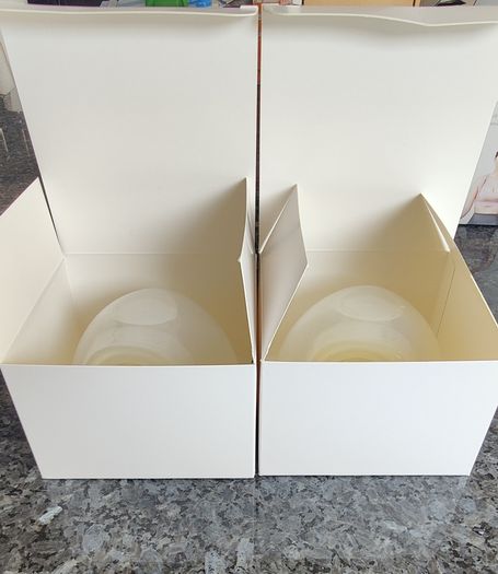Breast pump: double & hands free