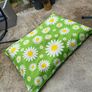 Bean Bag Image 2