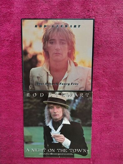 Rod Stewart 2 Vinyl Records
