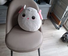 FREE cushion, perfect condition
