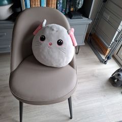 FREE cushion, perfect condition