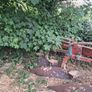 Plough Image 3