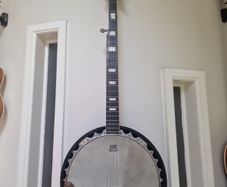Karina Gold L123 5String Banjo
