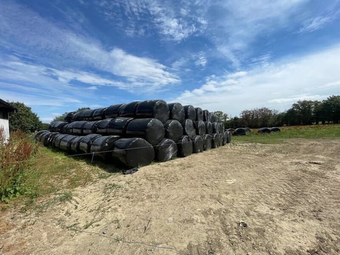Premium Haylage for Sale  250 Bales