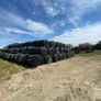Premium Haylage for Sale  250 Bales Image 3