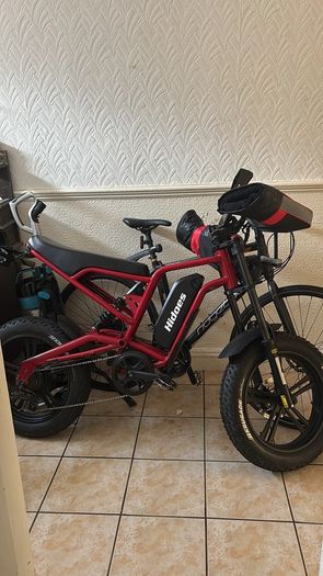 Electric Bike Hidoes B6