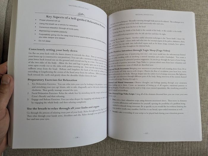 Mastering Vinyasa Yoga - Raji Thron - Yoga Sequencing & Teacher Training