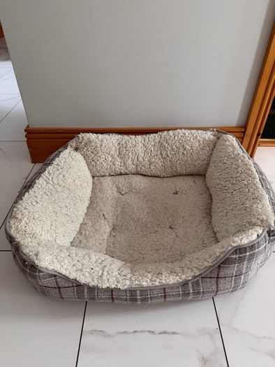 Dog Bed