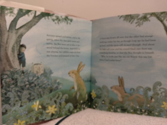 The Velveteen Rabbit, classic, hardback book