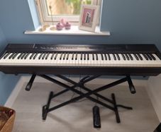 Donner Digital Piano and Accessories