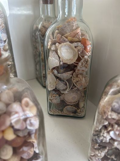 Sea shells in bottles