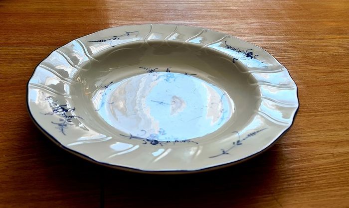 Blue and White Villeroy & Boch Vitro Porcelaine Salad Plate