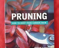 Pruning (book)