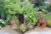 Soft  landscaping services north dublin