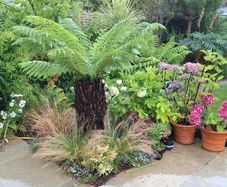 Soft  landscaping services north dublin