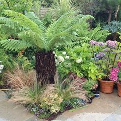 Soft  landscaping services north dublin
