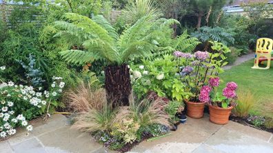 Soft  landscaping services north dublin