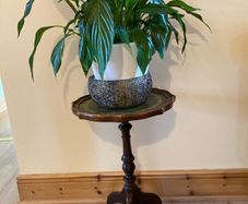 plant stand