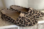 Soda Canvas Shoes