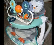 Fisherprice Seat