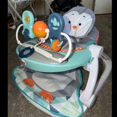 Fisherprice Seat
