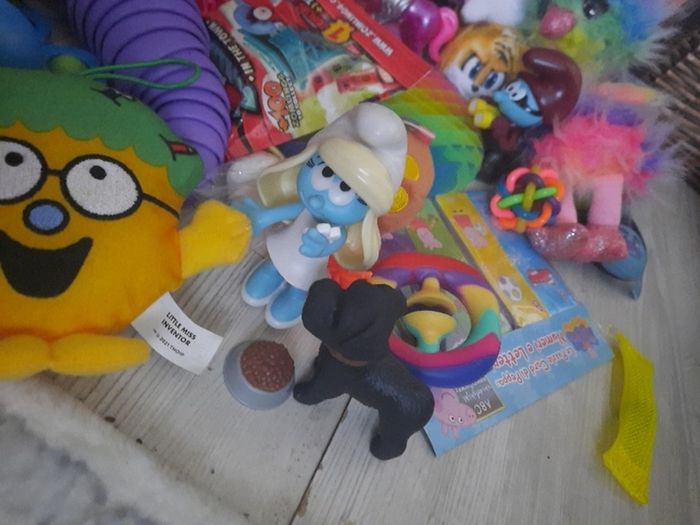 girls toy bundle