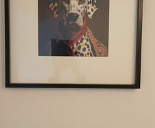 Funky Pictures
