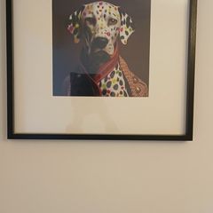 Funky Pictures