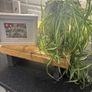 Hand made wooden plant display/steps Image 3
