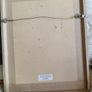 2 x Framed Floral prints Image 5