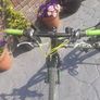childrens bike Image 5