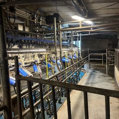 Milking parlor