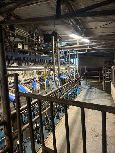 Milking parlor