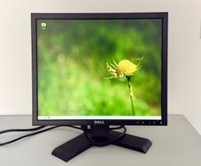 Dell P190Sb 19" Professional LCD Monitor - VGA/DVI, Height Adjustable