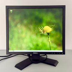 Dell P190Sb 19" Professional LCD Monitor - VGA/DVI, Height Adjustable