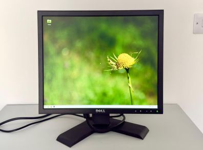 Dell P190Sb 19" Professional LCD Monitor - VGA/DVI, Height Adjustable