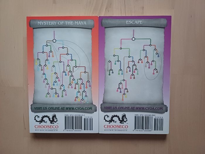 Choose Your Own Adventure by R.A. Montgomery (Illustrated Fantasy Retro Game Books 2005 NEW)