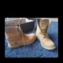 Timberland Image 4