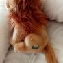Cute lion from BBC Earth Image 2