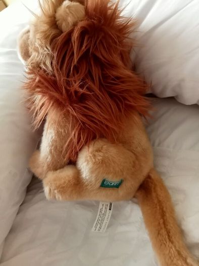 Cute lion from BBC Earth