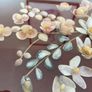 Vintage Mid Century Sea Shells in a Teak Shadow Box with Floral Design Image 7