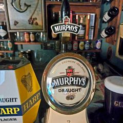 Murphys stout tap