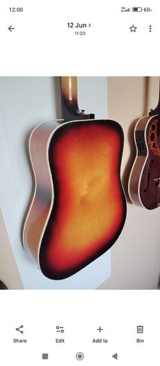 DIGIORGIO semi acoustic guitar