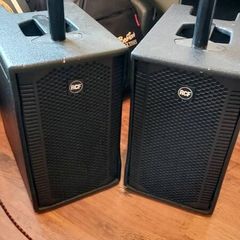 RCF Evox 5 column speakers